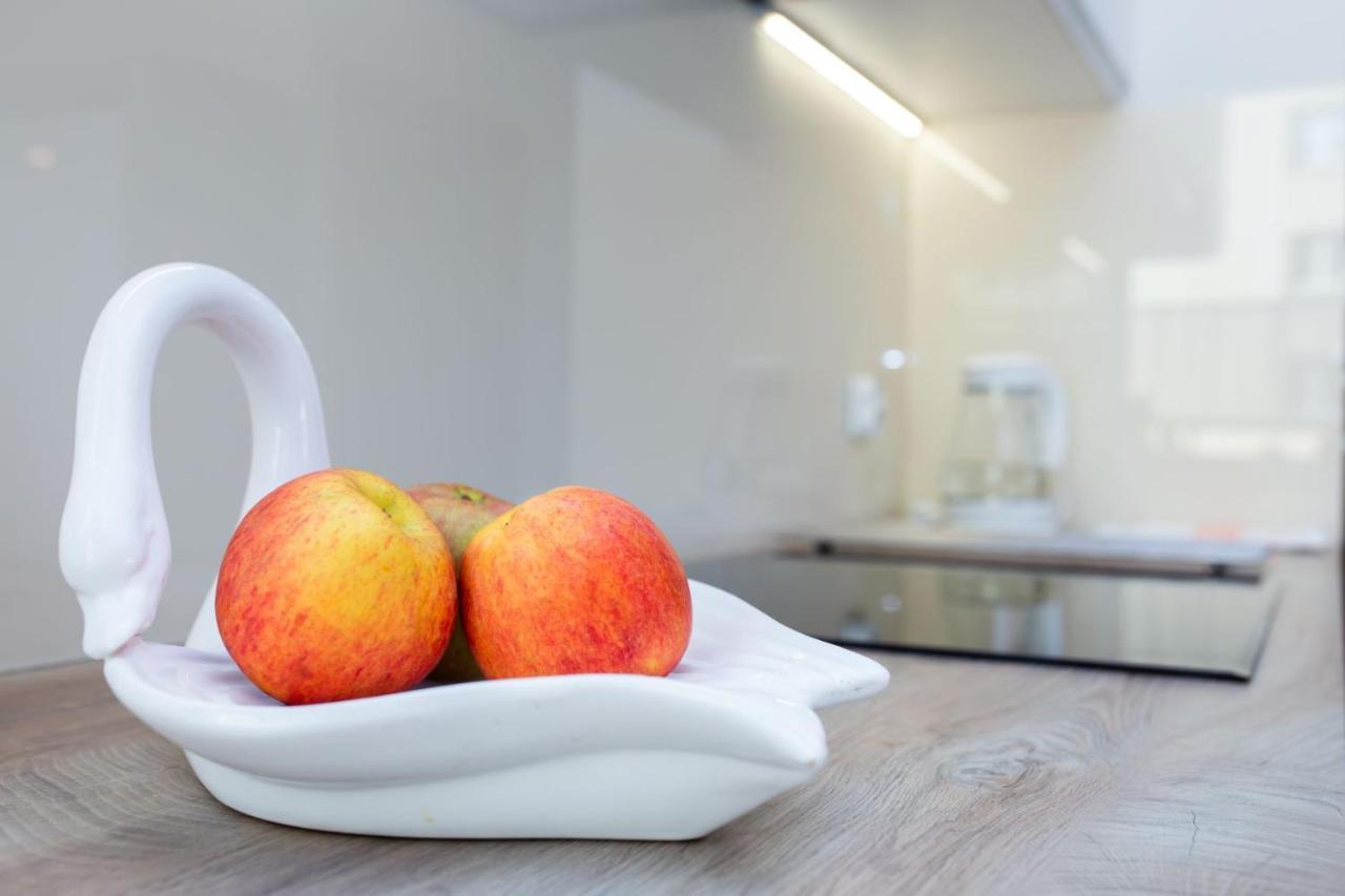 Apartament A1 Moderno Parking Stary Toruń 외부 사진